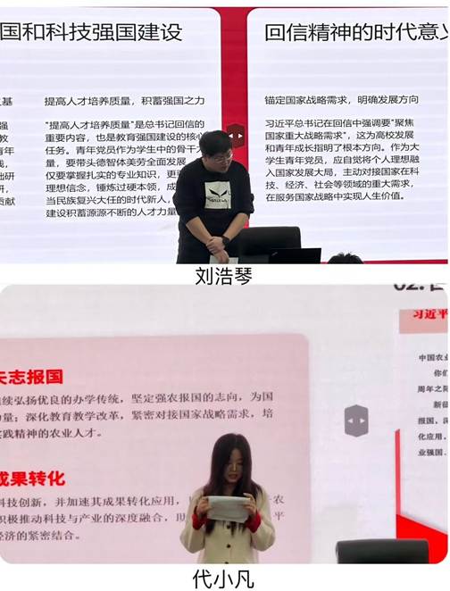 拼图